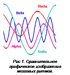 Подпись:  
Рис 1. Сравнительное графическое изображение мозговых ритмов.
