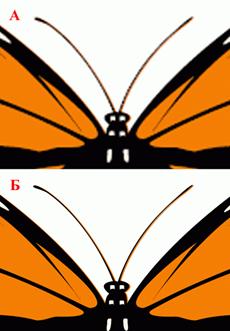 Увеличенный фрагмент растрового (А) и векторного SVG (Б) изображений. У растрового изображения заметна "зазубренная" структура