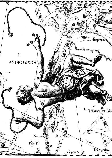 Созвездие Андромеда