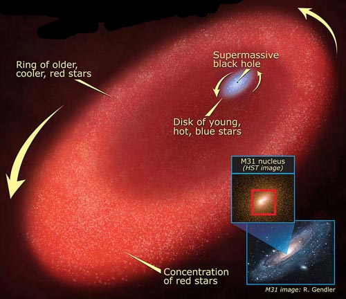 Ядро туманности Андромеды (М31). Последние данные, полученные с помощью орбитального телескопа Hubble, свидетельствуют: в центре М31 находится сверхмассивная черная дыра массой 140 миллионов Ms. Эта дыра окружена диском из 400 молодых горячих звезд (изображение с сайта www.universetoday.com)