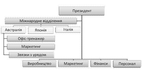 Організаційна структура дивізіонального типу