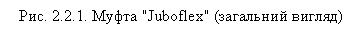Подпись: Рис. 2.2.1. Муфта "Juboflex" (загальний вигляд)