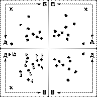Двумерная ВЭТСХ смеси ДНС-аминокислот на пластине 6x6 (четыре хроматограммы 3x3 см)